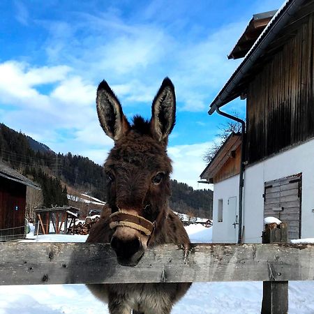 Hinkerhof Pensionat Schladming Eksteriør billede