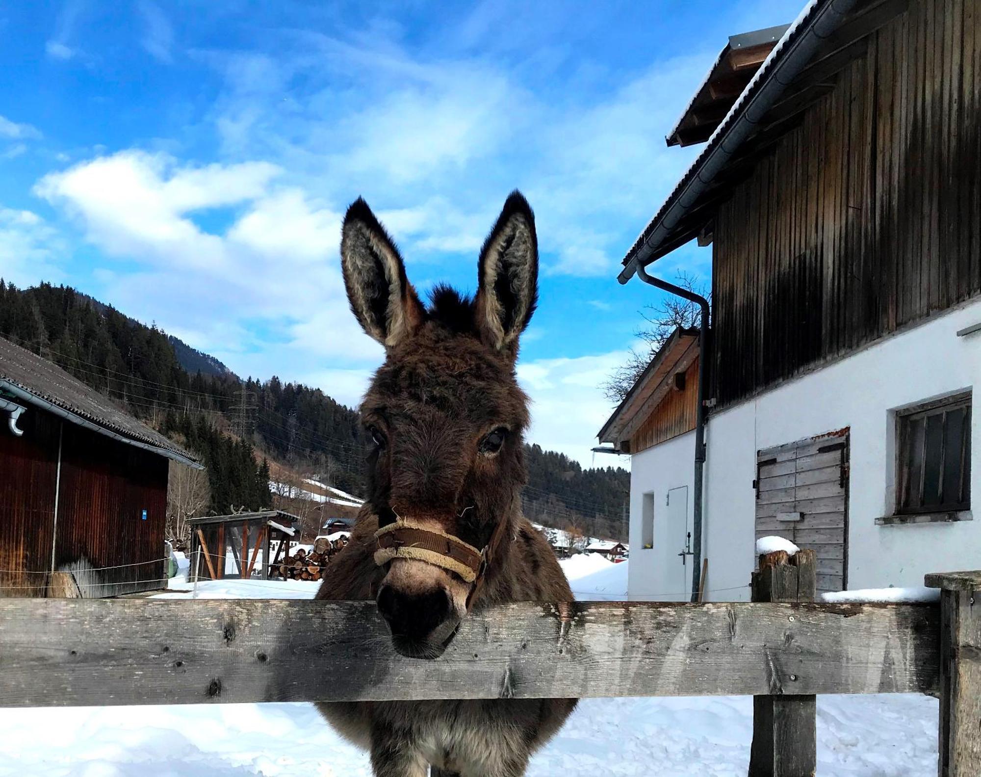 Hinkerhof Pensionat Schladming Eksteriør billede